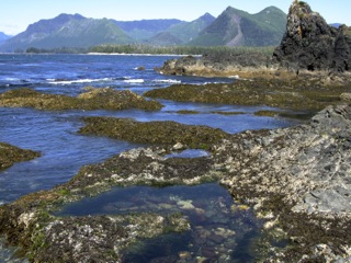 Tom Colton Kayaking Vancouver Island