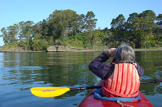 Rookery monitory by kayak at the Marin Islands